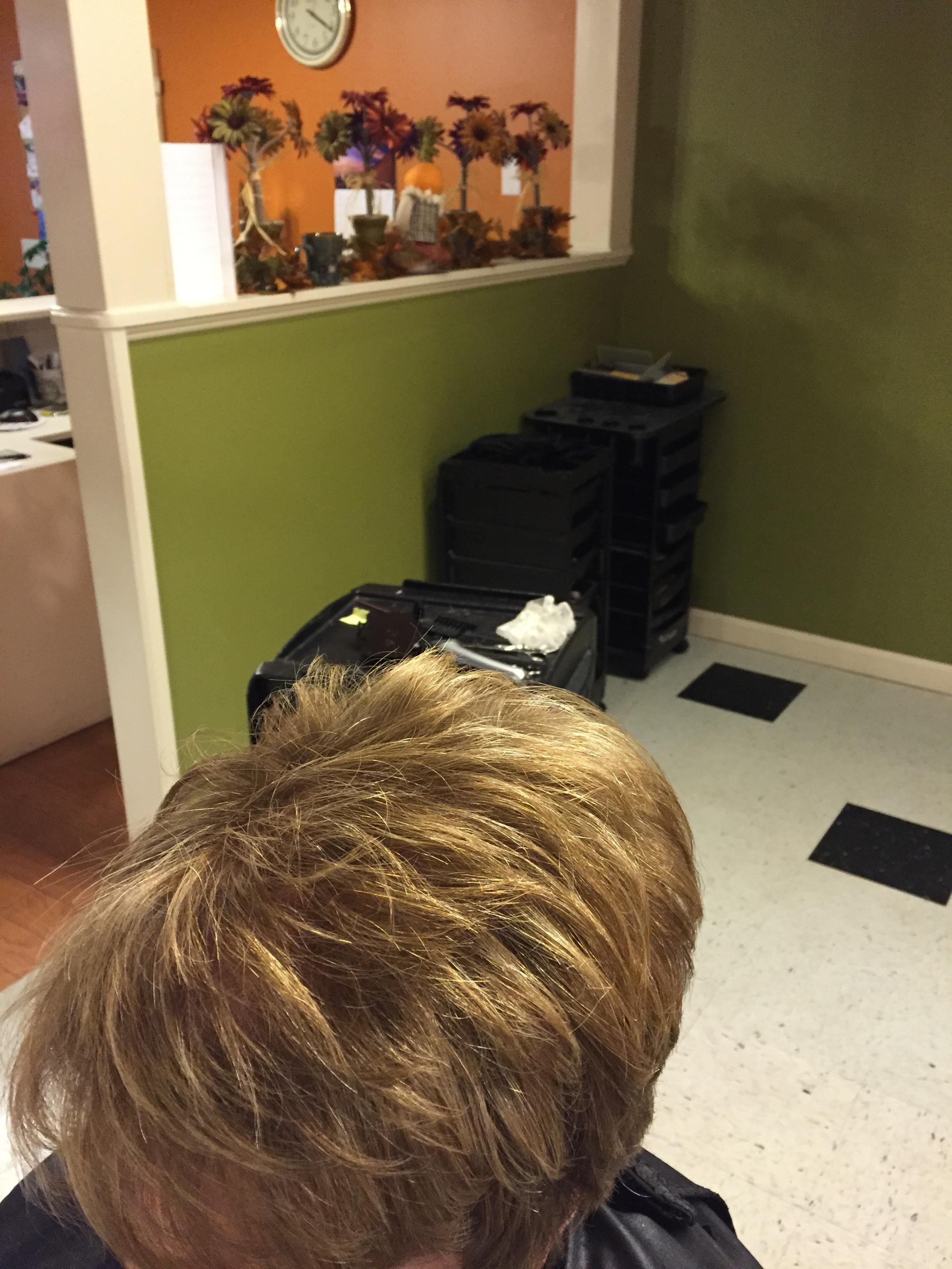 Creative Cuts Plus Image